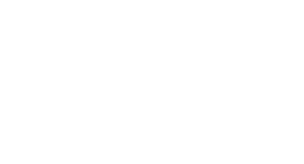 Gato IT